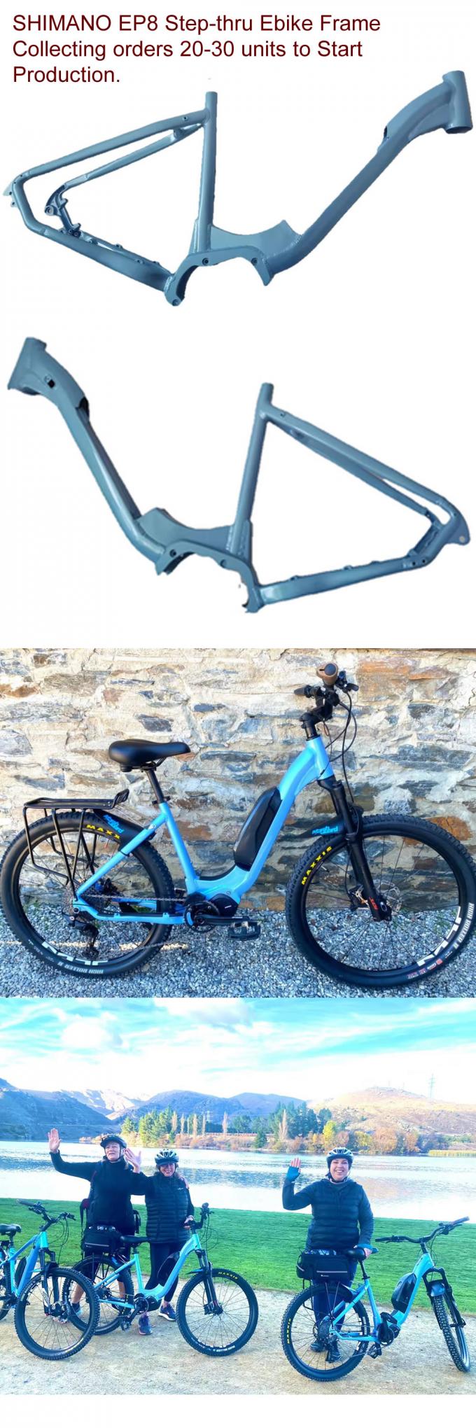 Shimano EP801 Enmarcado en el marco de la bicicleta eléctrica de la ciudad con conducción media Pedelec Cinturón de bicicleta eléctrica / accionamiento de cadena 5